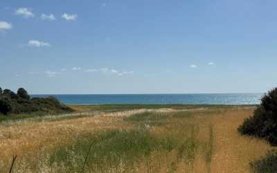 Wycieczka fakultatywna, Wycieczka na plażę Skała Afrodyty [35] z Pafos