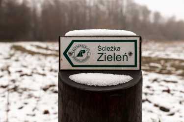 Wycieczka jednodniowa, Wycieczka Termy w Uniejowie