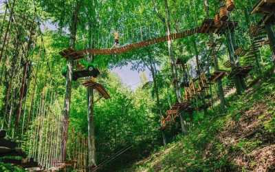 Wycieczka fakultatywna, Wycieczka do Parku linowego „Trollandia”