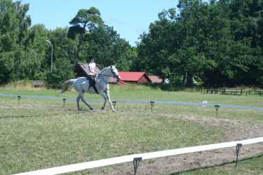 Obóz młodzieżowy, Niezapomniana Nadmorska Przygoda - OBÓZ KONNY (11-18 lat). Profesjonalne szkolenie dla początkujących, średnio zaawansowanych, zaawansowanych, obóz sportowo-szkoleniowy