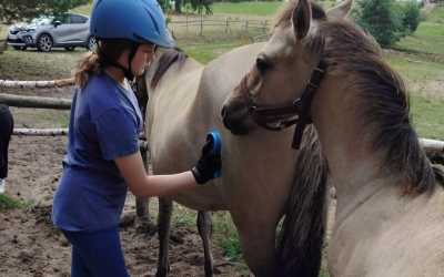 Obóz młodzieżowy, Piecki - obóz konny Mazurskie Chaty, 10 dni 10-14 lat