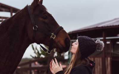 Obóz młodzieżowy, Runowo - Ferie w siodle,  7 dni 9-18 lat